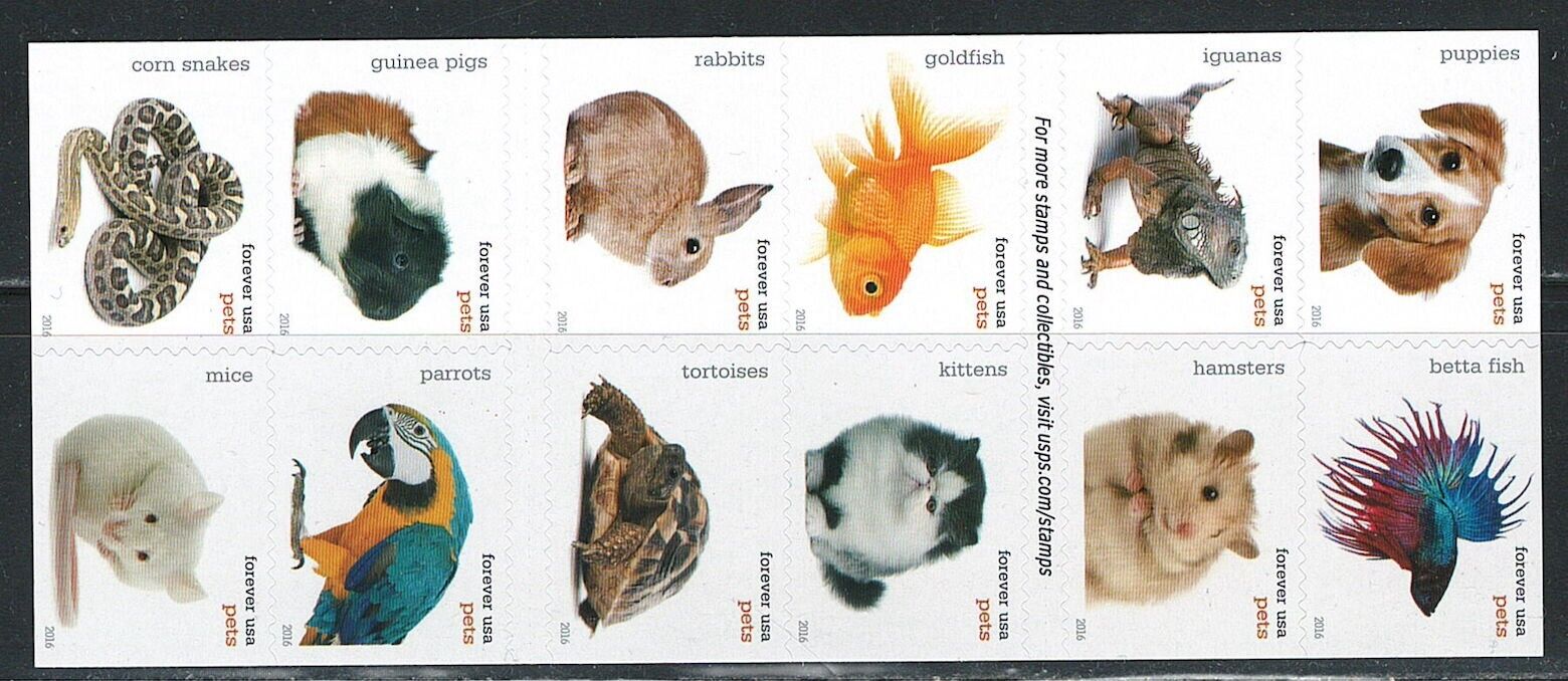 2016 Pets Celebrate Animals stamps - Forever Stamps
